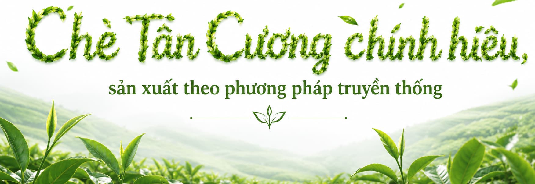 Chè Tân Cương truyền thống chính hiệu